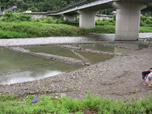 つかみ捕り用の池