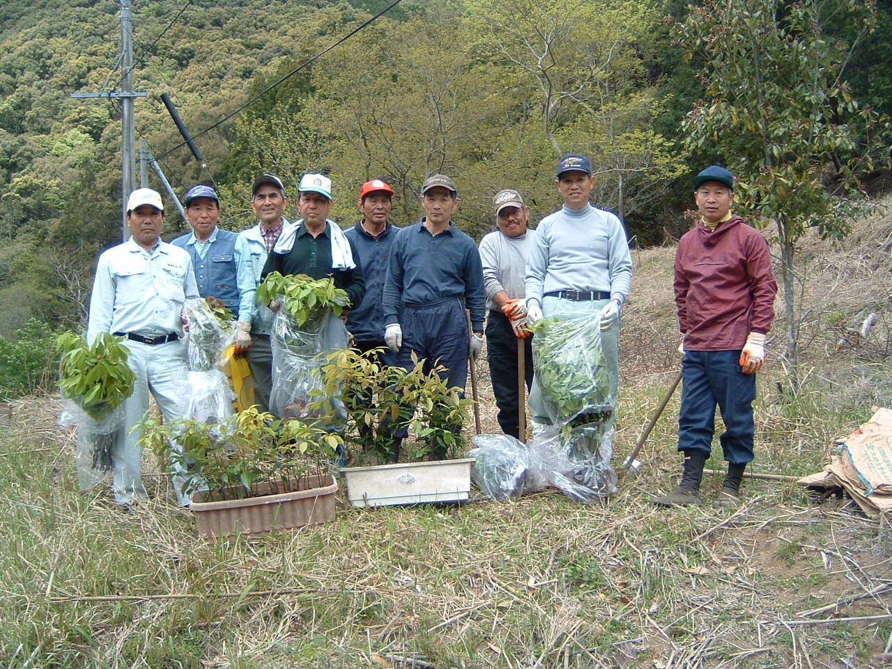 植樹