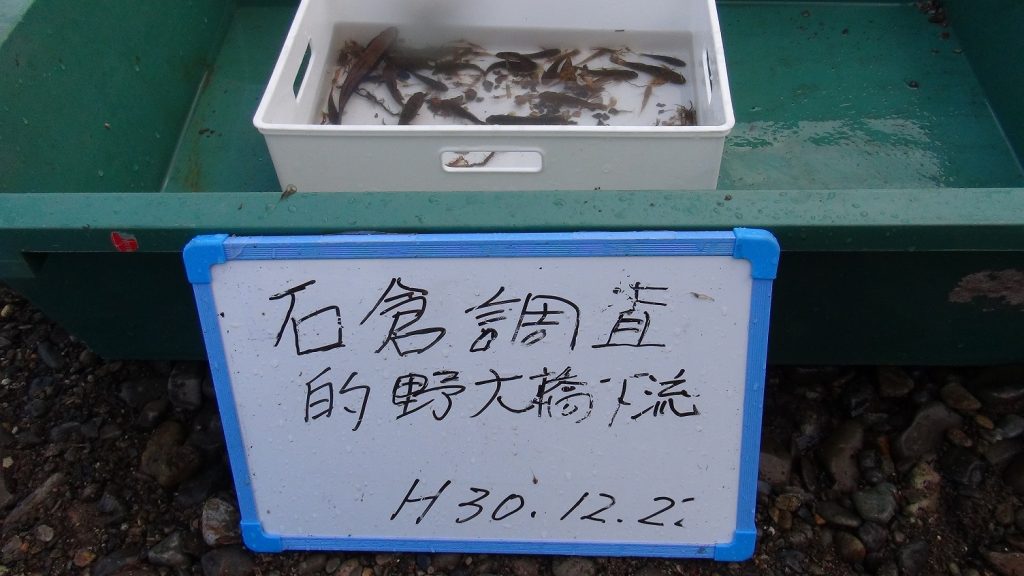 魚類調査