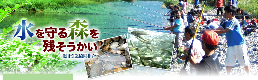 水を守る森を残そうかい – 北川漁業協同組合(北川漁協) –